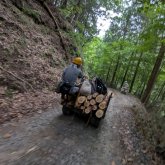 乗り物にまつわる景色部門 グランプリ　美浦佳苗「それいけピーノ君！」