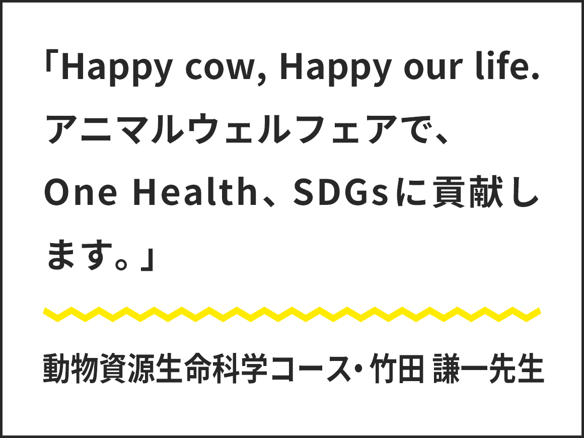 「Happy cow,Happy our life.アニマルウェルフェアで、One Health、SDGsに貢献します。」動物資源生命科学コース竹田謙一先生