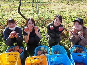 りんごの収穫.JPG