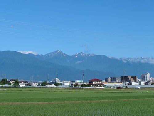 20250617_084325314.JPG