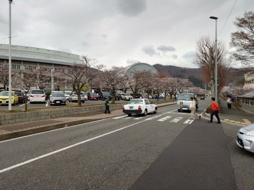 20260404 キッセイホール外周の桜 (3).JPG