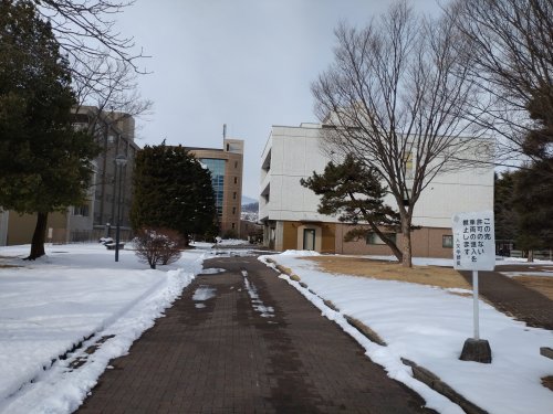 20220213　雪のキャンパス (2).JPG