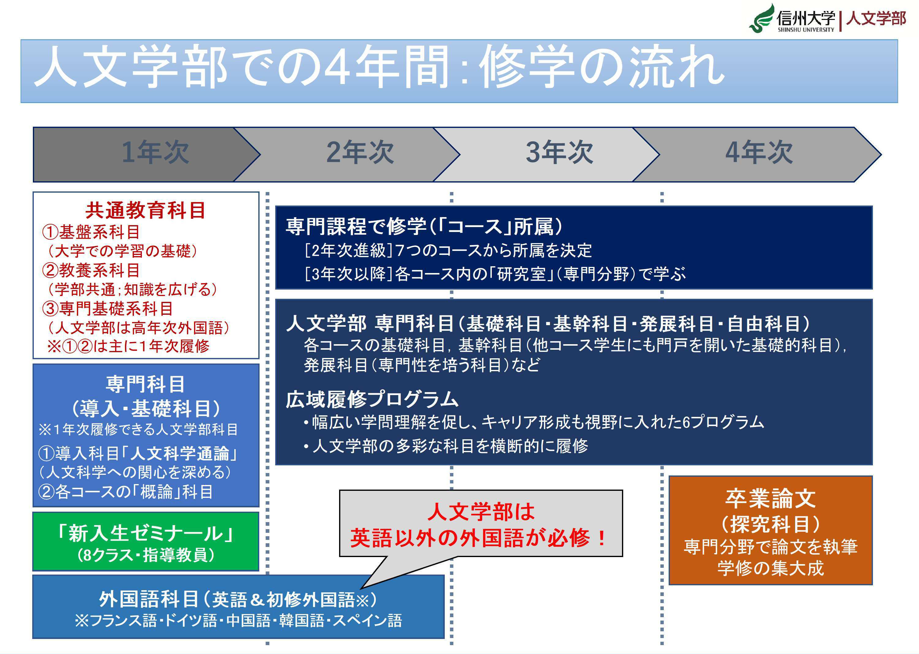人文学部での4年間:修学の流れ
