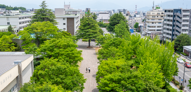 課程 コース 信州大学 教育学部