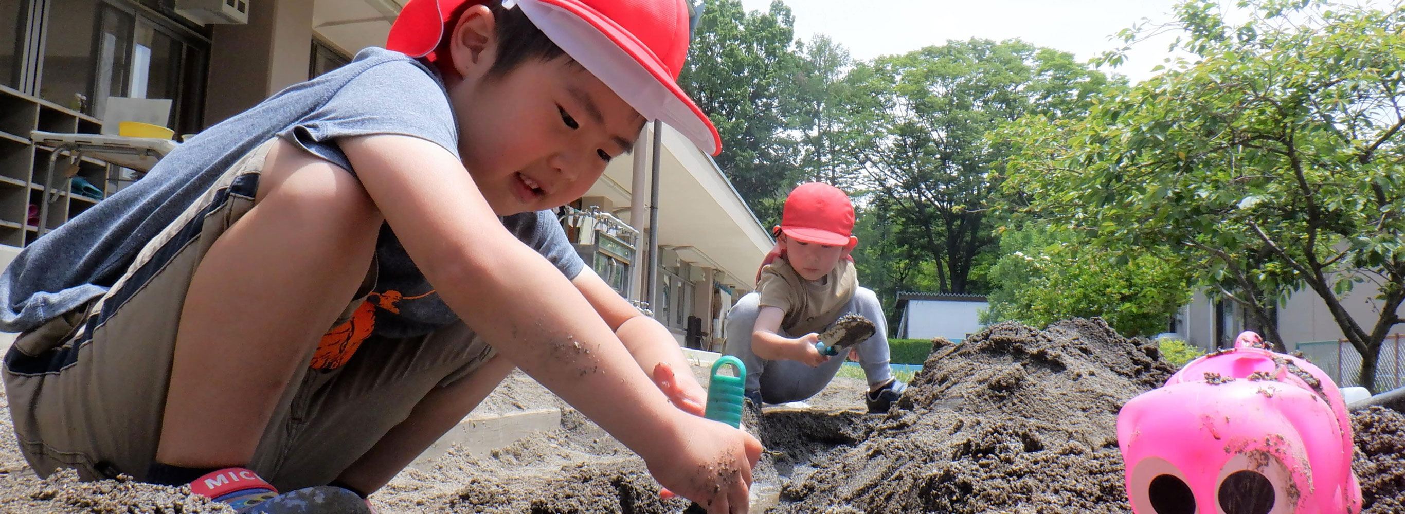 教育学部附属幼稚園