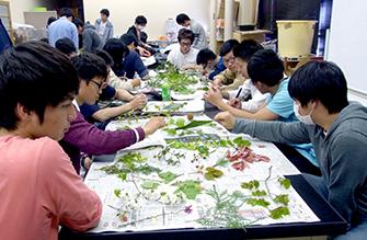 生物学基礎実験 イメージ写真