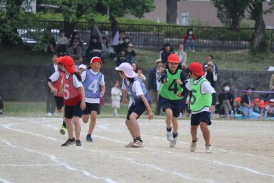 IMG_8401.JPG