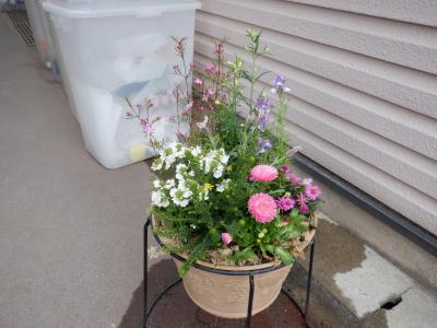 DSCF5517.JPG
