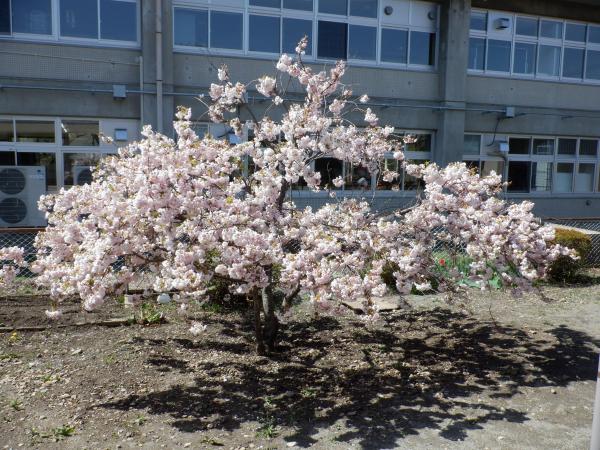 DSCF6084.JPG