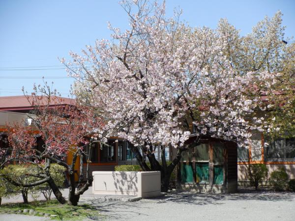 DSCF6092.JPG