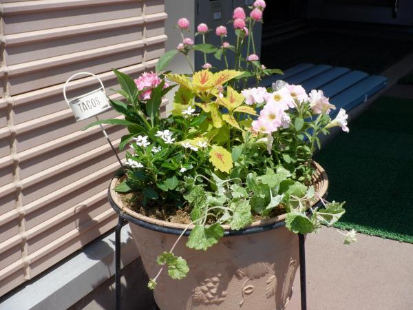 DSCF7216.JPG