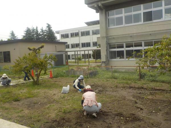 DSCN0516.JPG