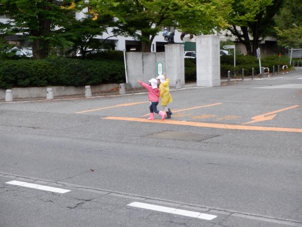 DSCF8713.JPG