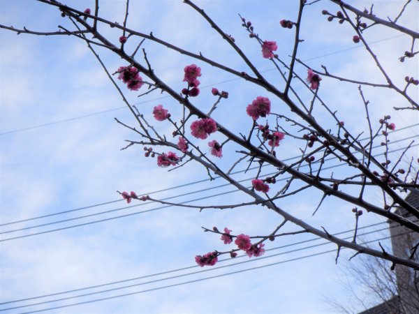 DSCF3644.JPG
