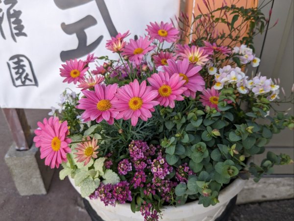 PXL_20230313_233357711.jpg