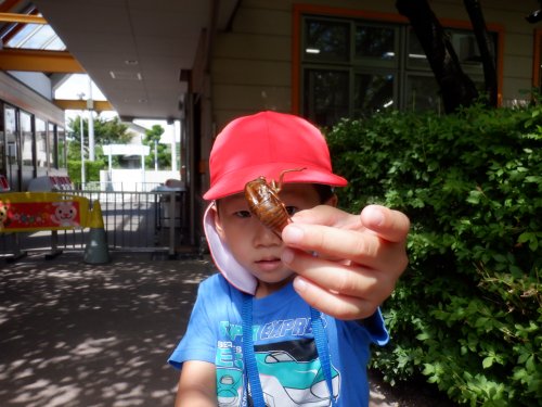 DSCF6437.JPG