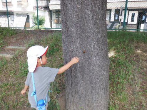 DSCF6438.JPG