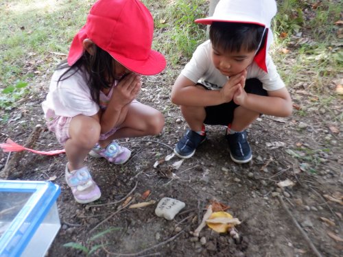 DSCF6526.JPG