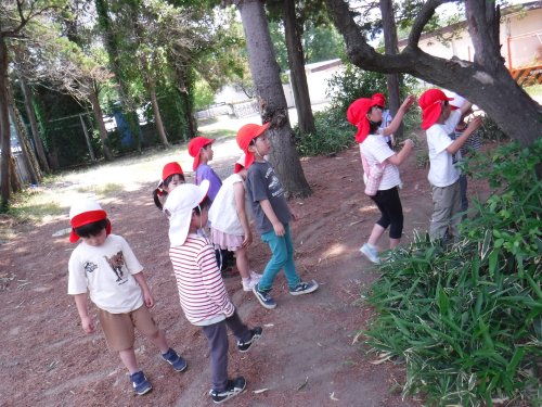 DSCF2013.JPG