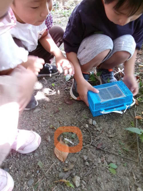 100_0008.JPG