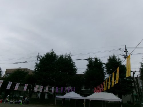 100_0551.JPG