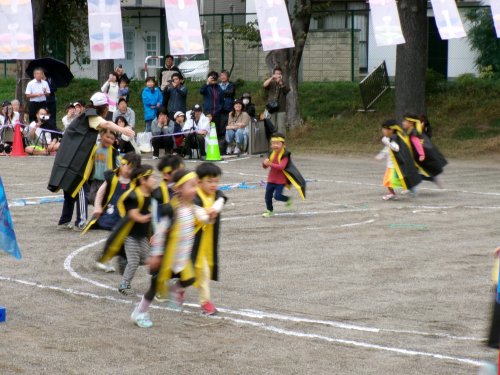 100_0557.JPG
