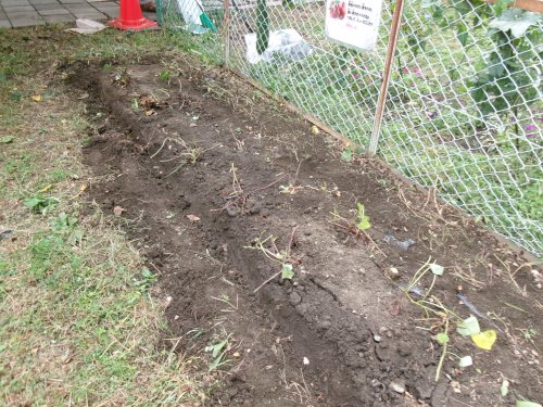 100_0773.JPG