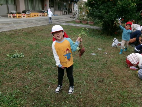 100_0807.JPG