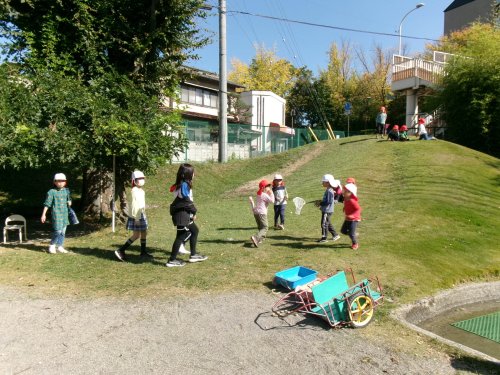 100_0818.JPG