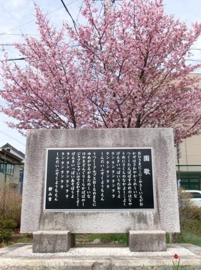 0414_桜と園歌碑 編集.JPG