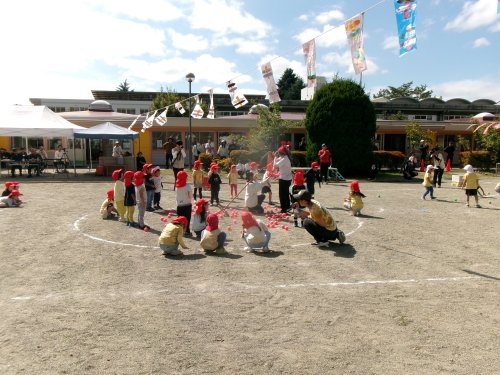 100_0260.JPG