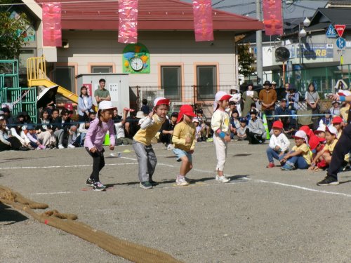 100_3181.JPG