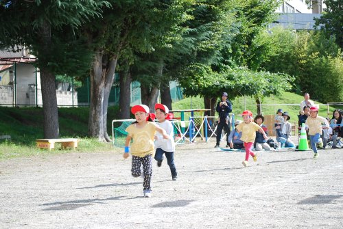 DSC_5627.JPG
