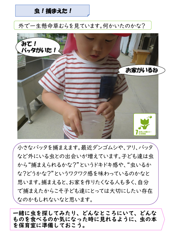 image (1).png