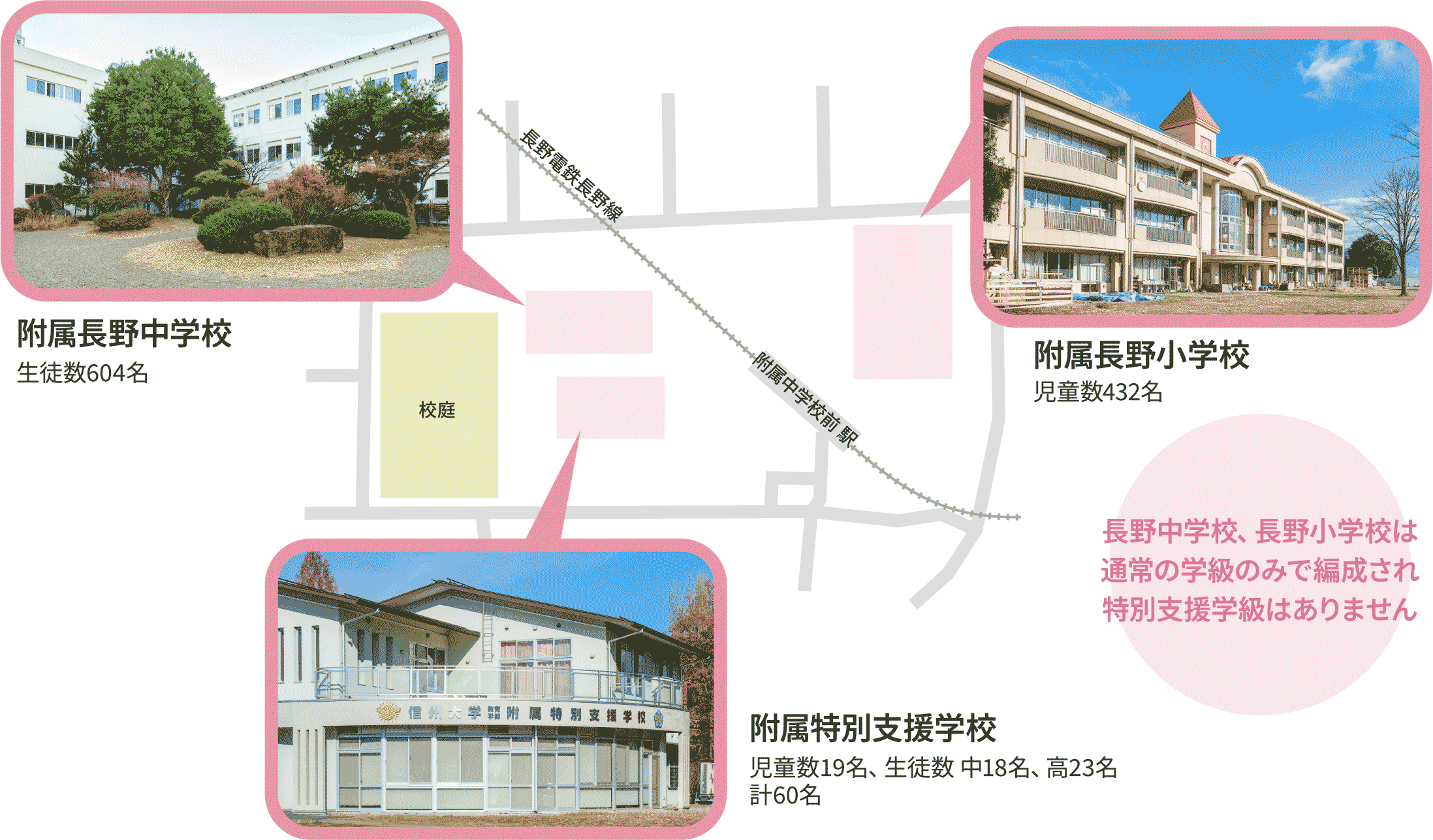 信州大学教育学部附属長野小学校・中学校・特別支援学校