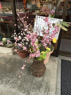 いろんな花が咲き誇る