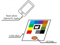 スマホ撮影のイメージ図