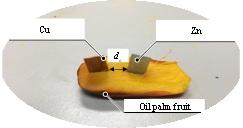 Fruits battery method