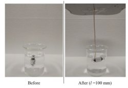 磁気誘導磁石によるカプセル向き変化の一例