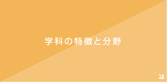 学科の特徴と分野