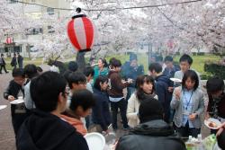 hanami2014_img01.jpg