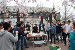 hanami2014_img02.jpg