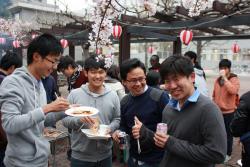 hanami2014_img04.jpg