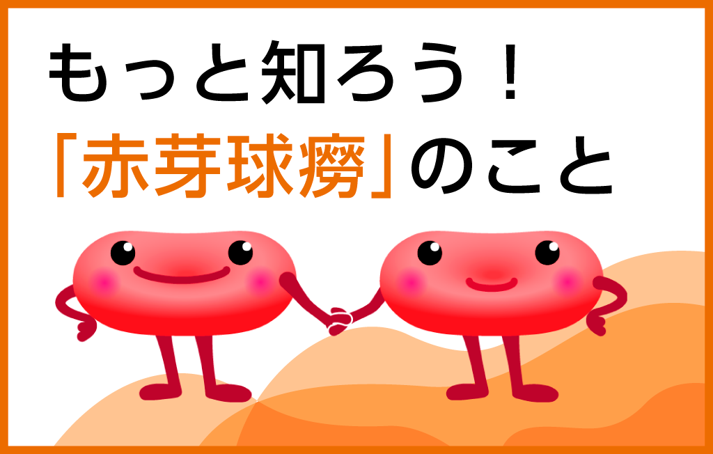 後天性慢性赤芽球癆に対する新しい治療の開発