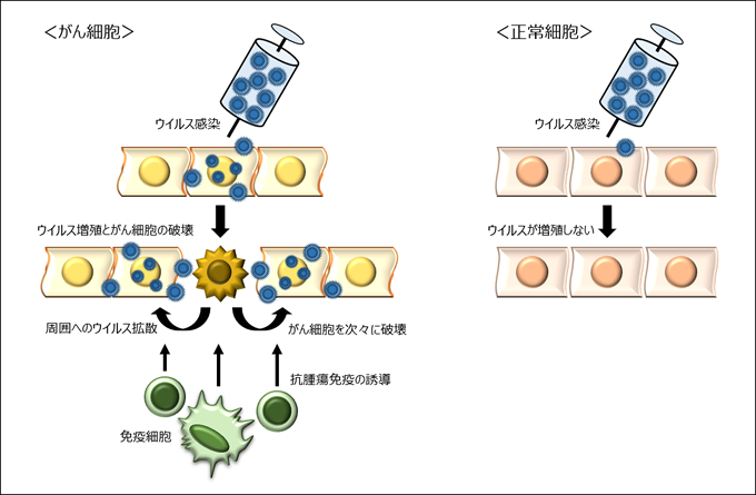 ウイルス療法の概念