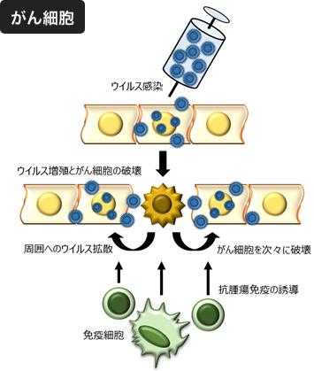 がん細胞
