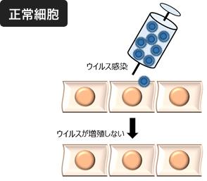 正常細胞