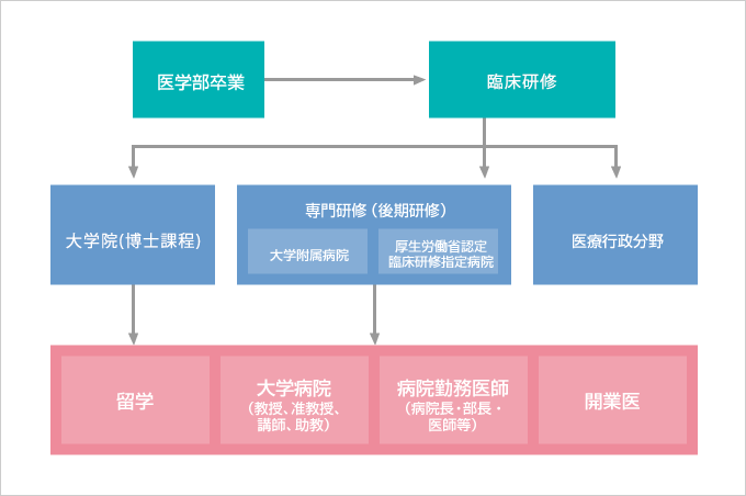 卒業後の進路