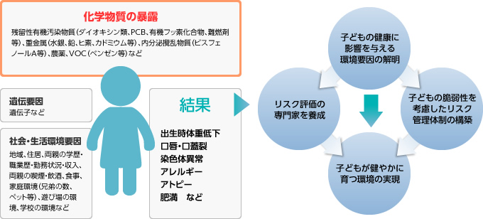 化学物質の暴露