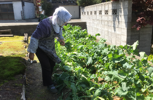 新たな作業療法介入の確立
.JPG